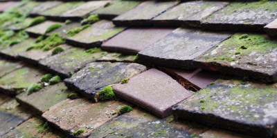 Chippenham roof repair costs